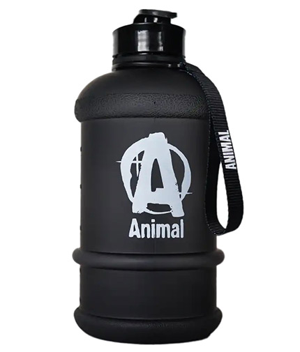 UNIVERSAL ANIMAL WATER JUG